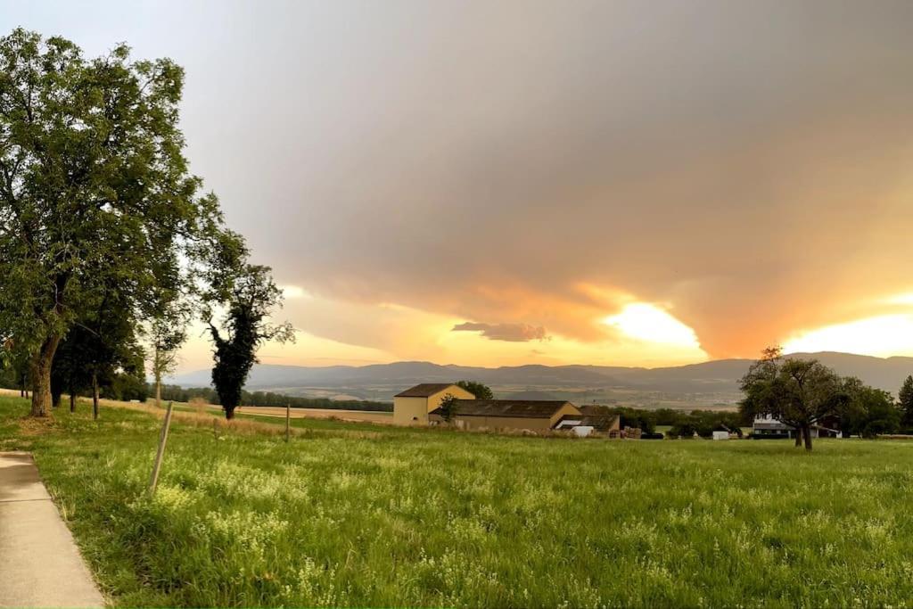 Joli Appartement Paisible Corcelles-sur-Chavornay Exteriér fotografie
