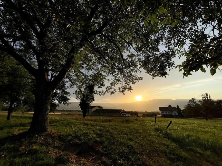 Joli Appartement Paisible Corcelles-sur-Chavornay Exteriér fotografie